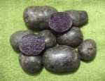 purple majesty potato tubers